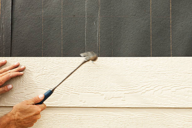 Best Siding Removal and Disposal  in Reidsville, GA